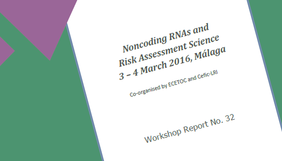 Noncoding RNAs and Risk Assessment Science: an ECETOC/Cefic LRI Workshop Report