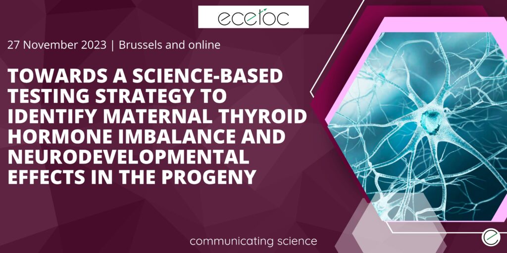 Publication presentation: Towards a science-based testing strategy to identify maternal thyroid hormone imbalance and neurodevelopmental effects in the progeny