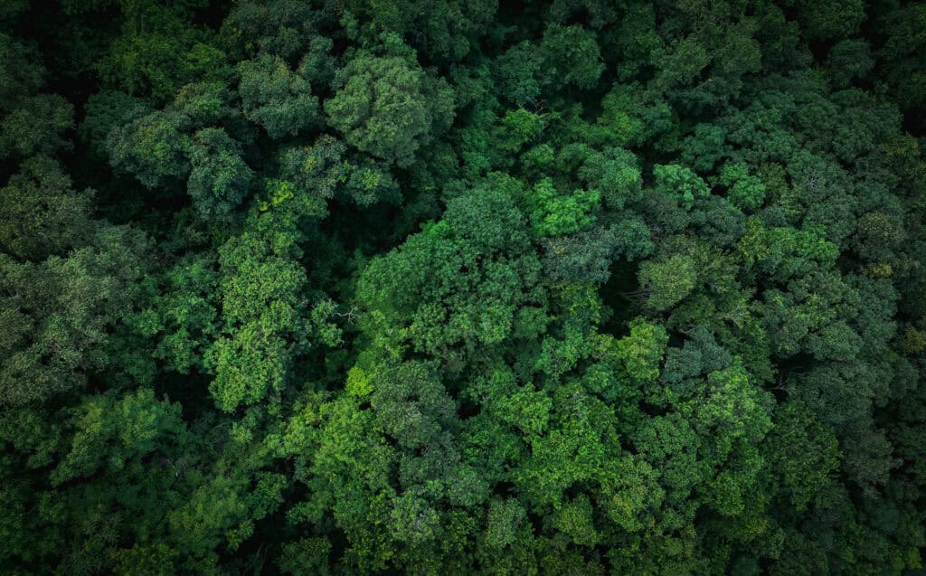 Assessing risks to biodiversity from exposure to chemicals: where are we and where should we be going?