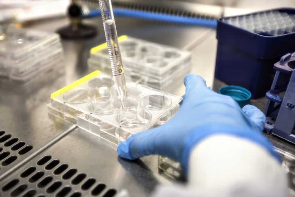 Scientific perspective on in vivo DNT testing