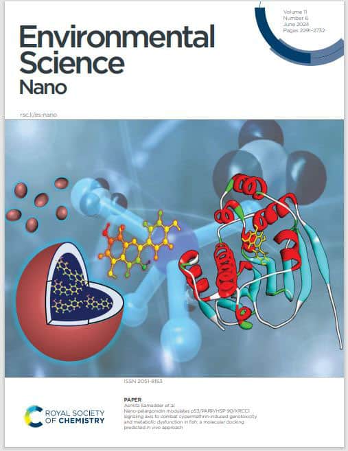 Practical considerations to optimize aquatic testing of particulate material, with focus on nanomaterials