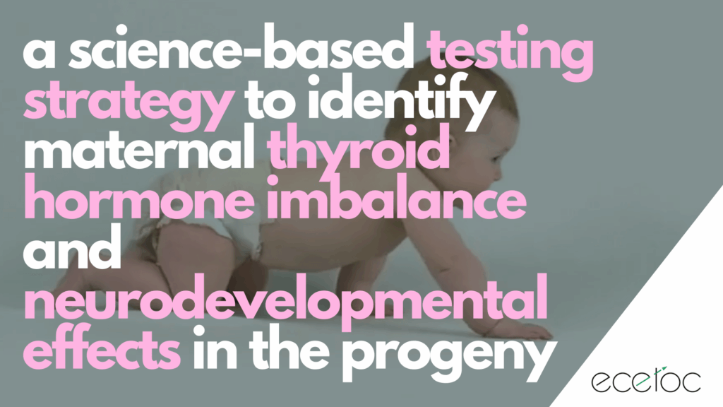 ECETOC Task Force proposes a science-based testing strategy to predict if a chemical has the potential to disrupt the thyroid hormone system in humans