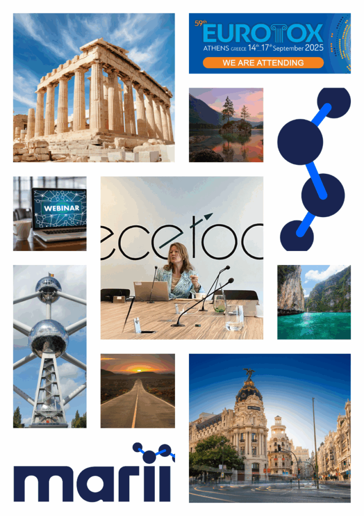 Update from Blanca Serrano – September 2025