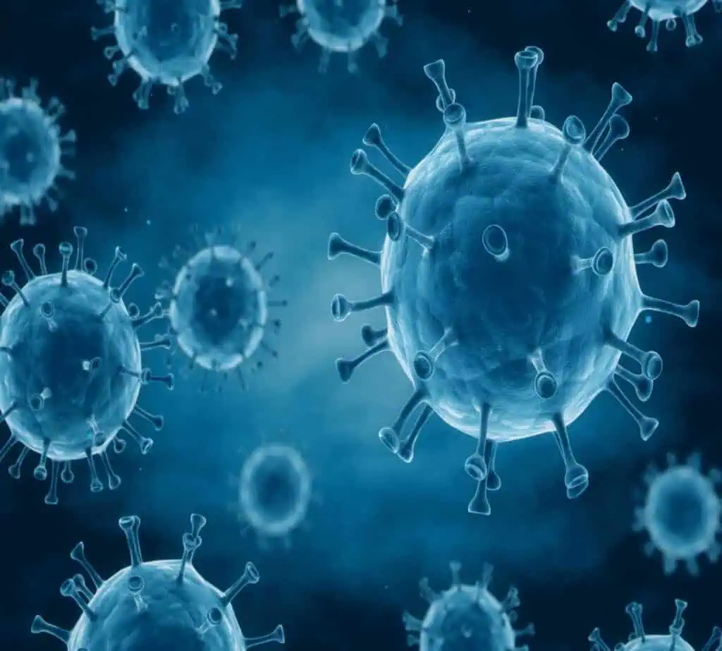 Immunotoxicity assessment: Addressing Challenges and Advancing Methodologies [Workshop → Task Force]​